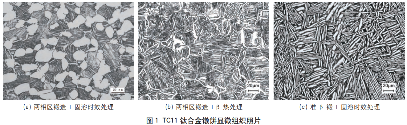 截圖20241228203730.png