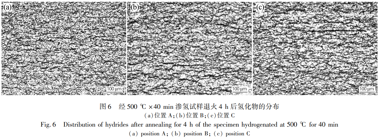 截圖20250113213634.png